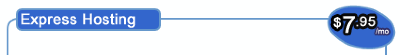 Express_Hosting
